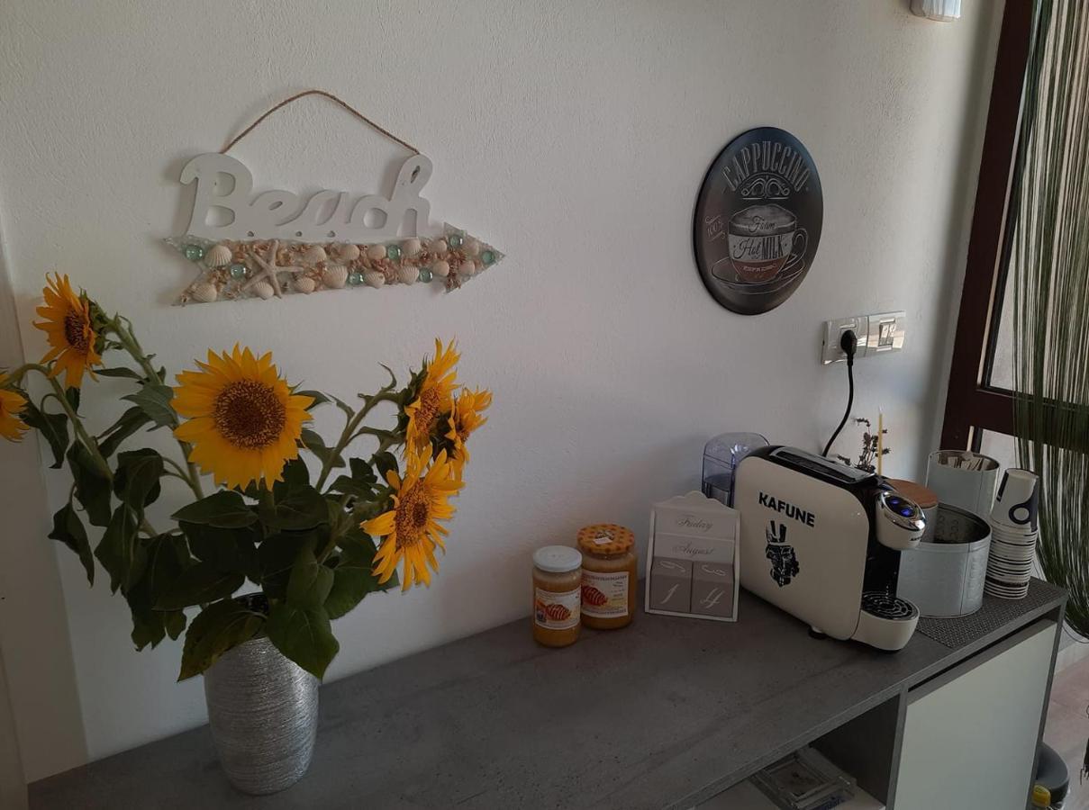 Sweet Desire Bed & Breakfast Vama Veche Exterior photo